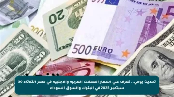 تحديث يومي.. تعرف على أسعار العملات العربية والأجنبية في مصر الثلاثاء 30 سبتمبر 2025 في البنوك والسوق السوداء